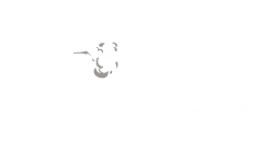 Famous Steam